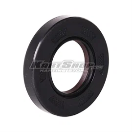 Oil seal, 22 x 40 x 7 mm ARS FPJ Teflon
