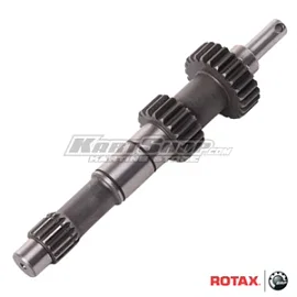 Primary shaft, 24 / 19T,  DD2