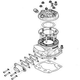Cylinder / Cylinder Head