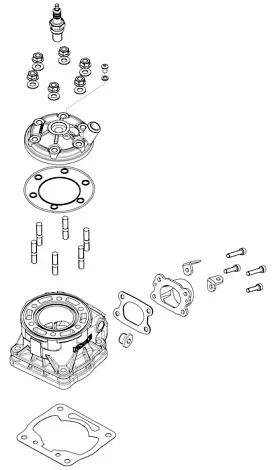 Cylinder / Head