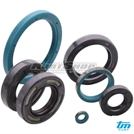 Oil seal kit, R1