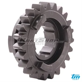 Gear 5th countershaft, Z23, R2 / R1