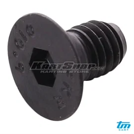 Countersunk bolt, M6 x 10 mm