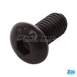 Roundhead bolt, M5 x 10 mm