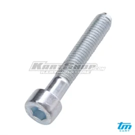 Bolt allen, M5 x 30 mm