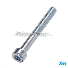 Bolt allen, M5 x 40 mm