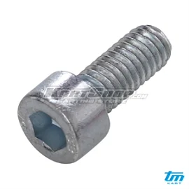 Bolt allen, M6 x 14 mm