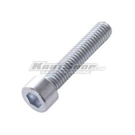Bolts M6