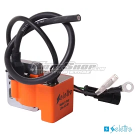 Coil, Selettra to OK-N